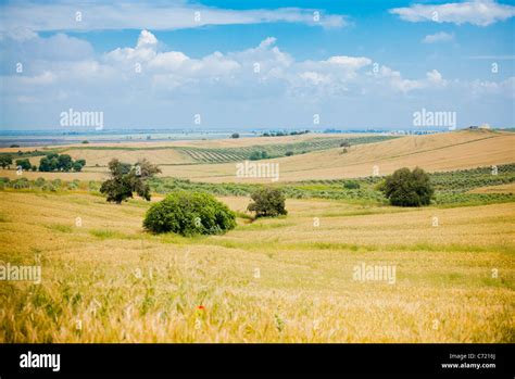 Summer countryside landscape at Karatas, in Turkey Stock Photo - Alamy