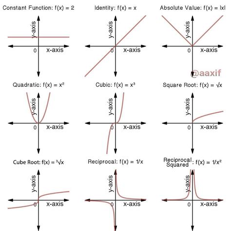 Different Types of Polynomial Function and their Graph | Polynomial ...