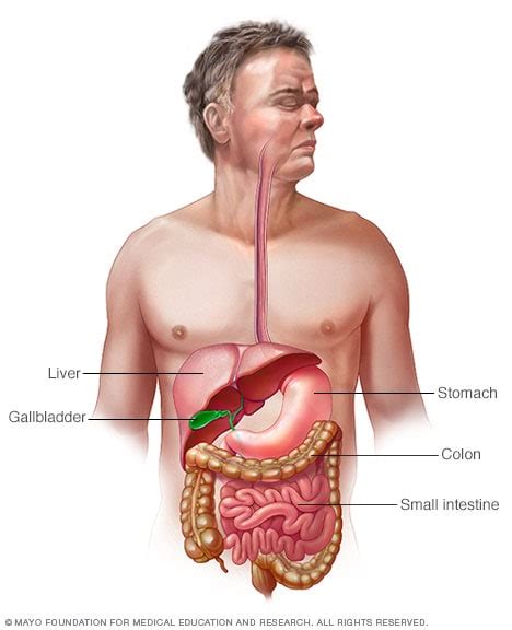 Indigestion - Symptoms and causes - Mayo Clinic