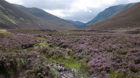 Moorland | Herts and Middlesex Wildlife Trust