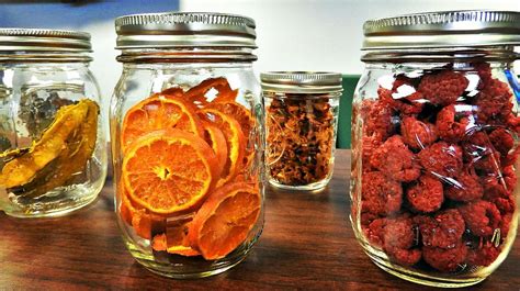 15 Dehydrator Recipes To Make This Weekend | Survival Life