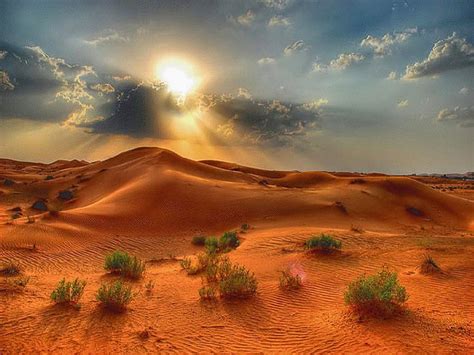 Desert beauty, hills, sand, sun, desert, plants, HD wallpaper | Peakpx