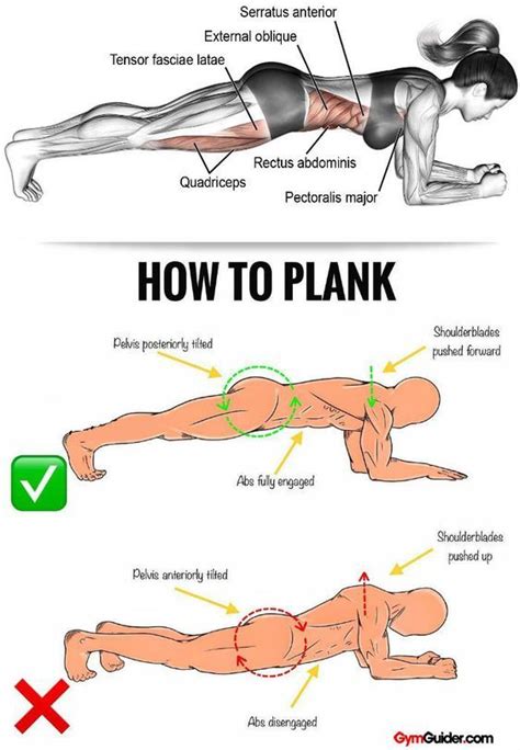 Rock Solid Abs & Core With These 11 Plank Variations - GymGuider.com ...