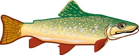 Free Cute Salmon Cliparts, Download Free Cute Salmon Cliparts png ...