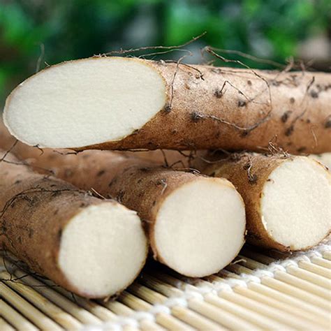 Wild Yam Root Extract Powder - Novoherb