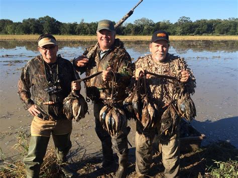 Waterfowl Habitat - Blue-Winged Teal Hunting - Ramsey Russell GetDucks