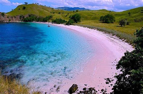 World&General Knowledge: Pink beach in Lombok Indonesia