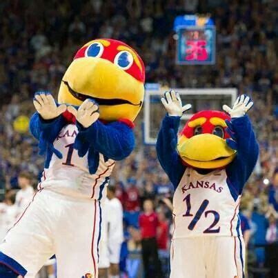 Big Jay and Baby Jay Ku Jayhawks, Kansas Jayhawks, Rock Chalk Jayhawk ...