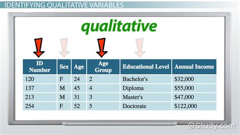 Qualitative Variable in Statistics: Definition & Examples - Video ...