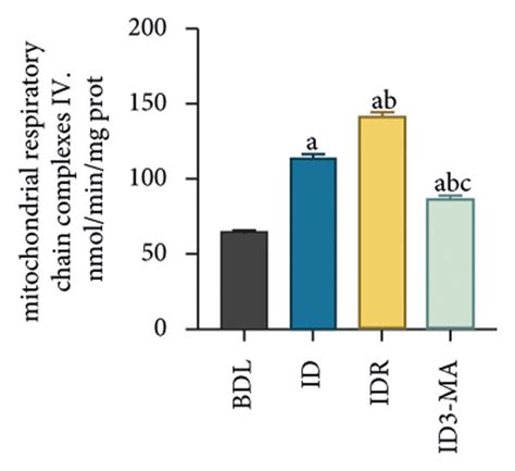 Effects of autophagy agonist and inhibitor on the activity of ...