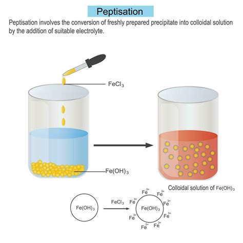 peptisation, conversion of freshly prepared precipitate into colloid by ...