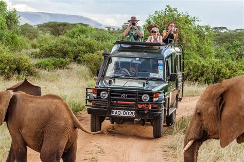 The best ways to get around Kenya - ReportWire