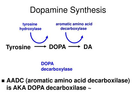 PPT - Neurotransmitters: Monoamines PowerPoint Presentation - ID:166580