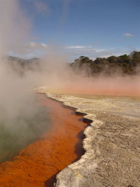 Rotorua Hot Springs; New Zealand | Hot springs, New zealand, Country roads