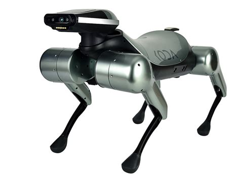 KODA AI robot dog interacts socially with its owners » Gadget Flow