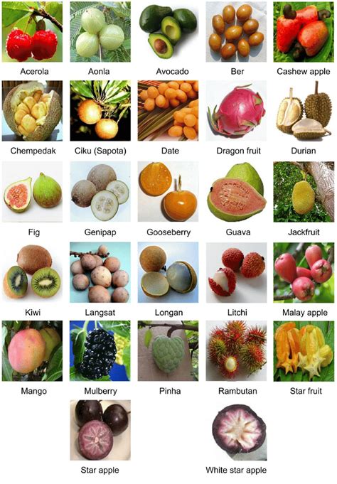 List Of Fruits With Pictures