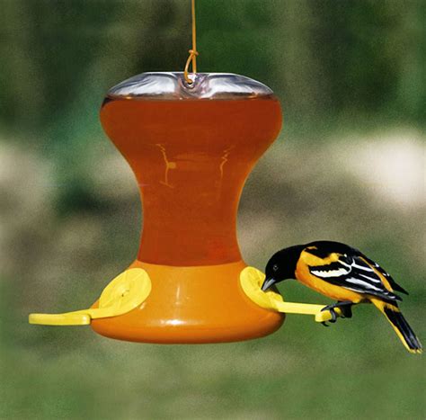 Oriole Feeder With Bee Guard