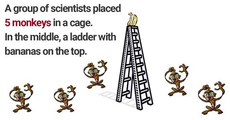 The Five Monkeys Experiment Perfectly Illustrates Our Resistance to ...