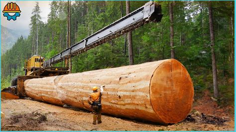 200 Amazing Fastest Big Tree Felling Cutting Equipment Working - YouTube