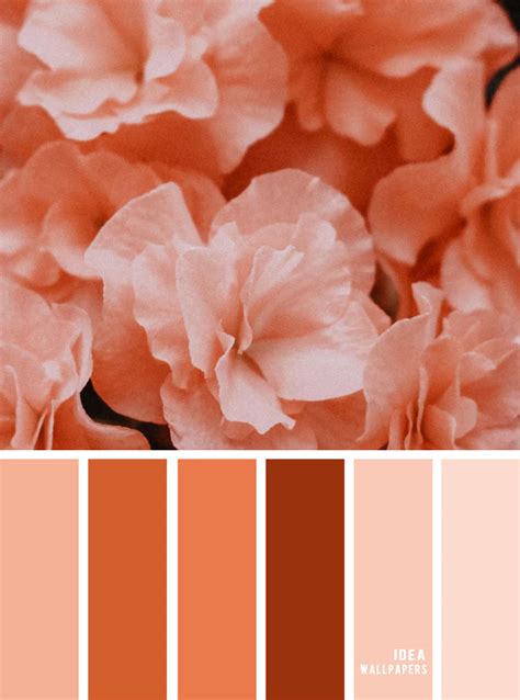 Color Inspiration : Peach Hues - Idea Wallpapers , iPhone Wallpapers ...