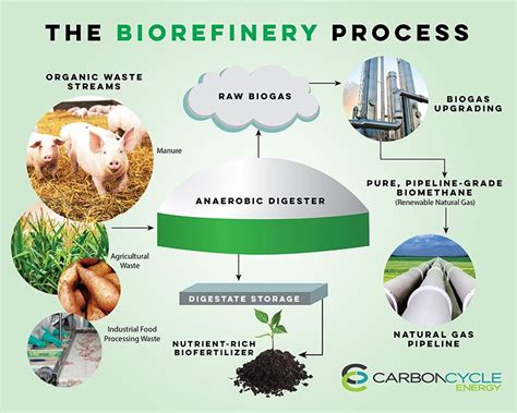 Pig poo to create energy through $100 million biogas construction ...