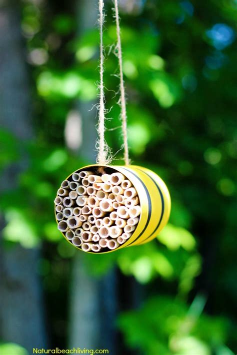 How to Make a Mason Bee Habitat - Perfect Life Cycle of a Bee ...