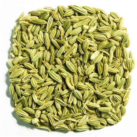 Halon Seeds (Aserio)