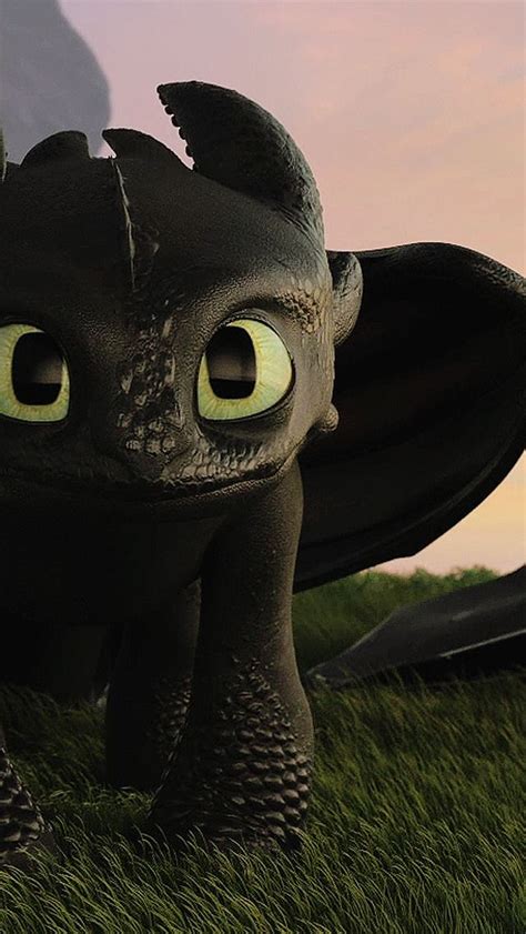 Hiccstrid Edits | How train your dragon, How to train dragon, Toothless ...