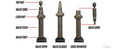 Types Of Valve Stems