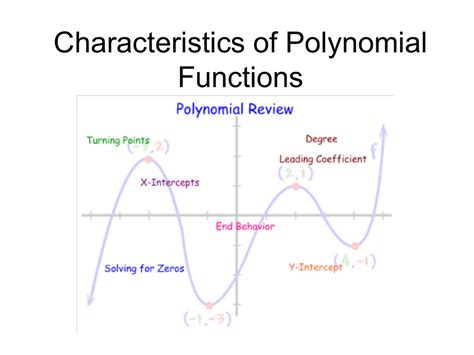 Characteristics of Polynomial Functions