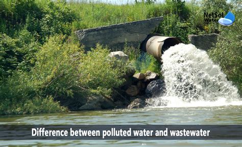 Difference between polluted water and wastewater