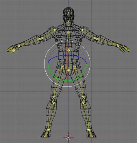 Free skeleton 3d model rigged blender - maztaxi