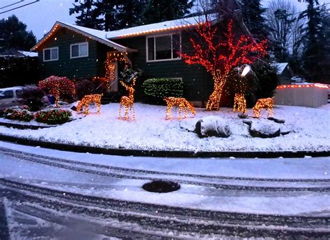 Shoreline Area News: Photo: Christmas lights in the snow