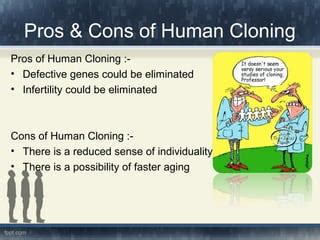 💄 Cloning pro cons. 23 Major Human Cloning Pros and Cons. 2022-11-05