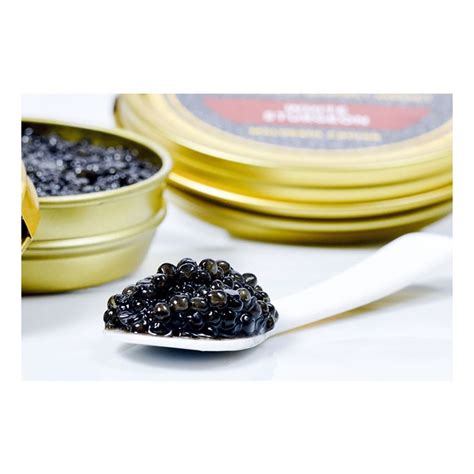 White Sturgeon Caviar