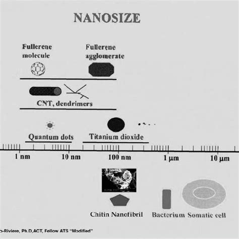 The nanometric scale. | Download Scientific Diagram