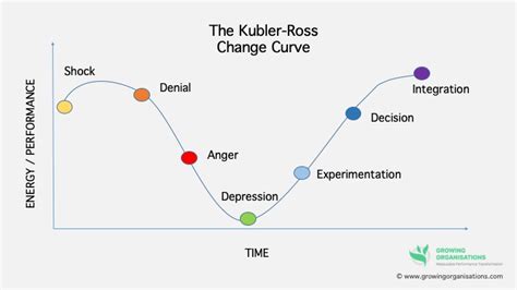 Where Are You On The Change Curve? - Growing Organisations Ltd