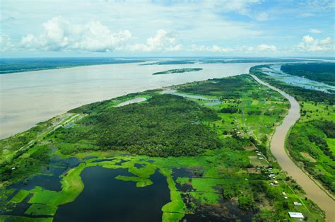 Aerial view of the Amazon Rainforest | Aerial view of the Am… | Flickr