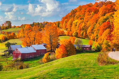 Fall Foliage Forecast 2024 Vermont - Pepi Angelika