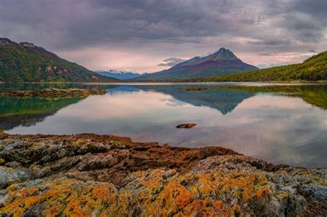 Tierra del Fuego National Park Half-Day Tour from Ushuaia