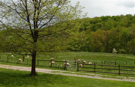 Wild Rose Farm: Beautiful Day For An Outing!