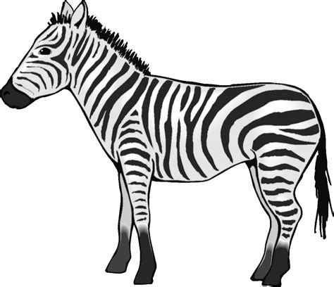 Free Zebra Clipart Black And White, Download Free Zebra Clipart Black ...