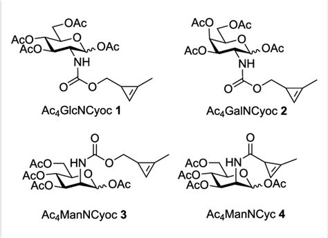 Figure 1 from Expanding the scope of cyclopropene reporters for the ...