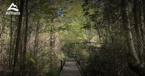 Best Trails in Dismal Swamp State Park - North Carolina | AllTrails