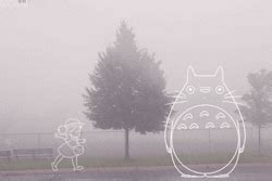 Foggy GIF - Find & Share on GIPHY