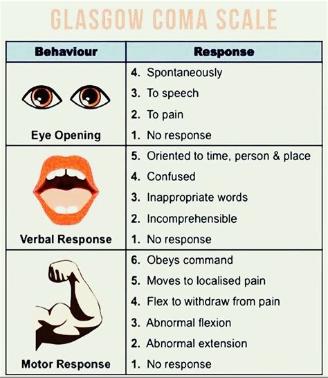 Glasgow Coma Scale (GCS): What It Is, Interpretation Chart, 59% OFF