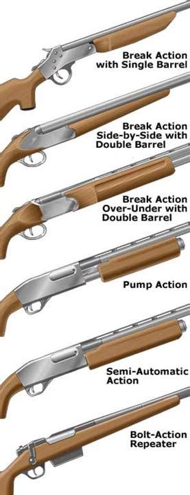 Different Types Of Rifles