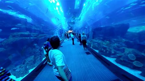 Dubai: Burj Khalifa, Burj Al Arab, Jumeirah Palm, Dubai Aquarium, Dubai ...