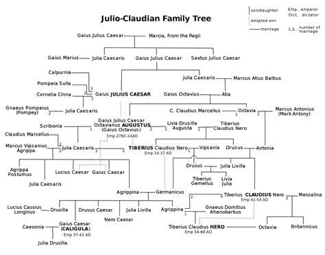 Julio-Claudian Family Tree (Illustration) - World History Encyclopedia