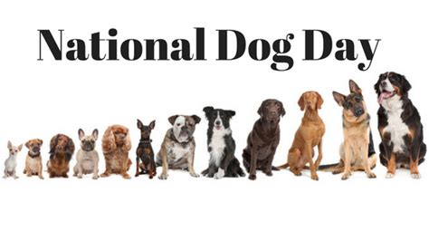 Break Out the Treats! It's National Dog Day! | Joy of Living